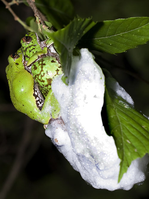 02.jpg 500��667 64K