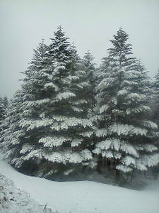 01.jpg 225��300 30K