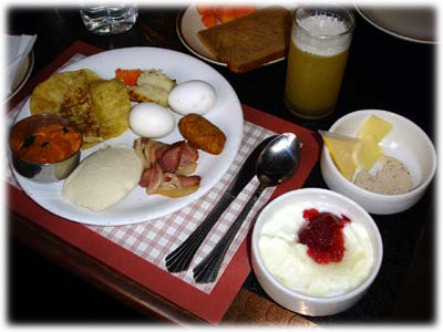 �o�C�L���O�Ő��������H